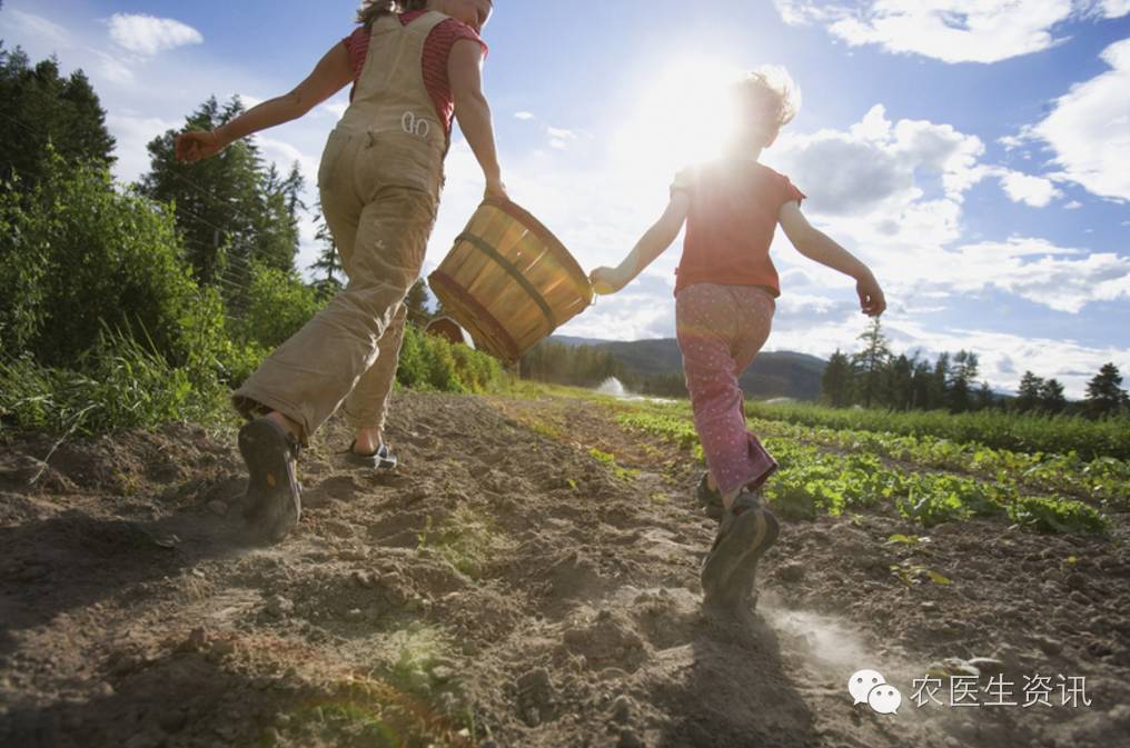 玉米种植补贴视频,玉米补贴的最新政策