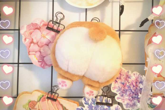 既平价又实用的中秋节礼物推荐,2020年中秋最佳礼物排行榜