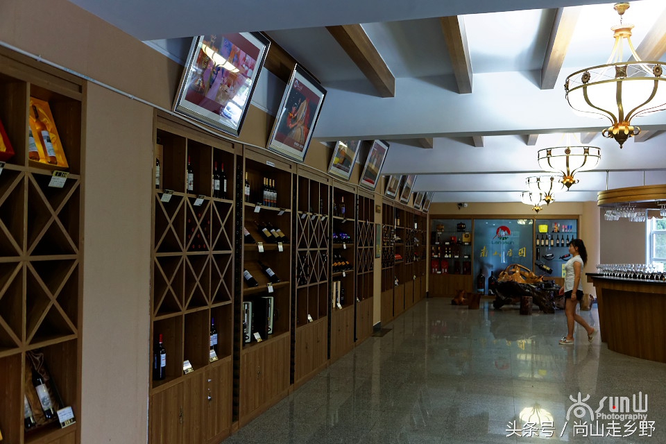 走进红酒庄园,走进葡萄庄园