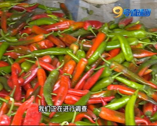 辣椒假种子,辣椒假种子最新进展