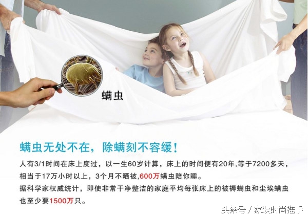 去除被褥螨虫的有效方法,棉被螨虫怎么去除简单方法