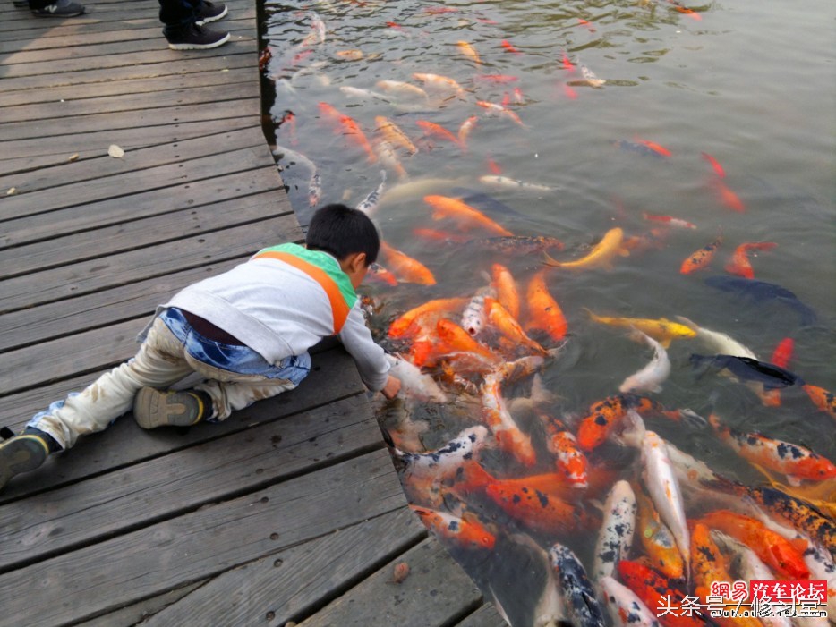 养心治气之术,治气养心修身自强是什么意思