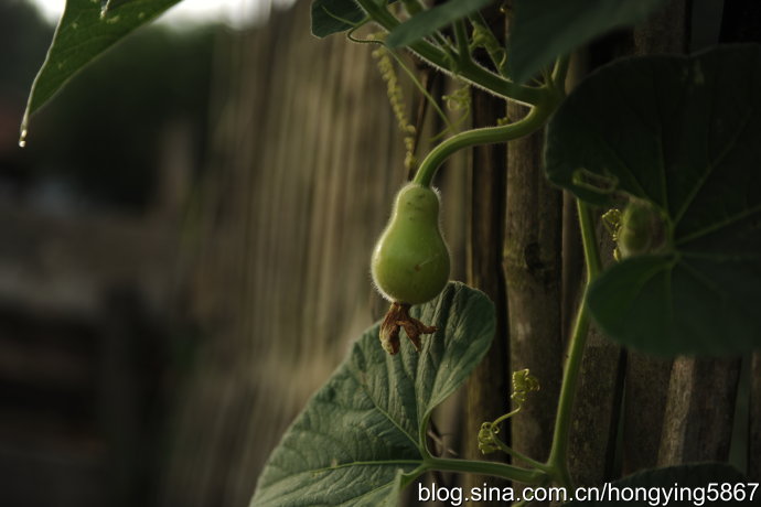 三明建宁：曾经软禁过二战谍报奇才的闽北小城