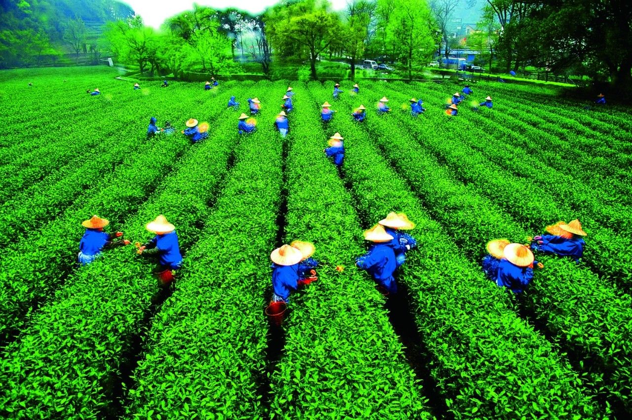 最美的风景杭州,最美的杭州