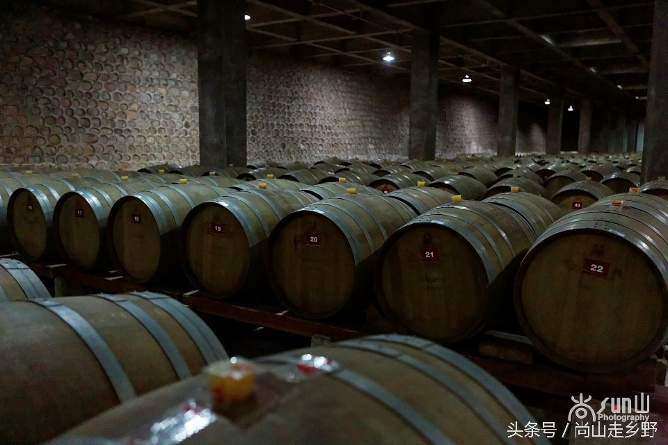 走进红酒庄园,走进葡萄庄园