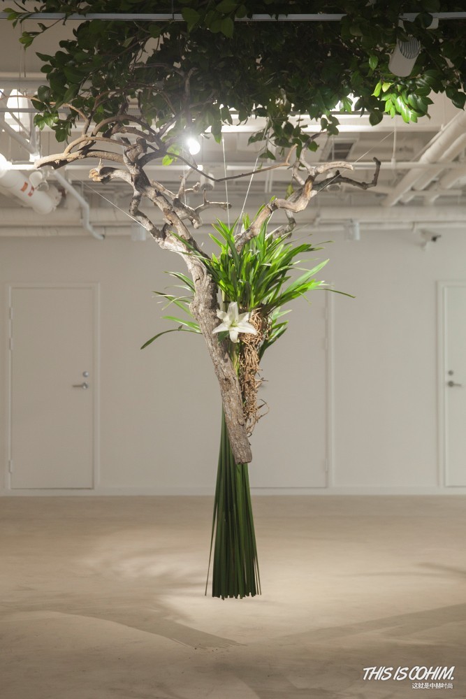 高级陈列教程,陈列操作教程