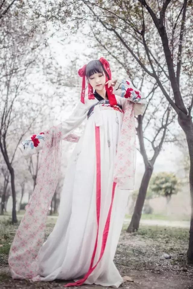 汉服之美谓之华作文,汉服之美的文章