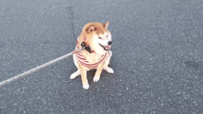 史诗级灾难片之开学,史诗级开学灾难片混剪