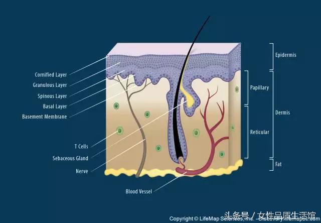 祛痘印真实有效的方法不花钱,原来祛痘印这么简单