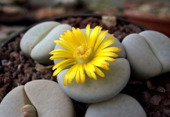 稀奇景色,稀奇风景原创素材