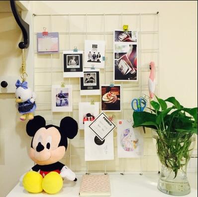 出租屋简易防护网,出租房的简单防护网