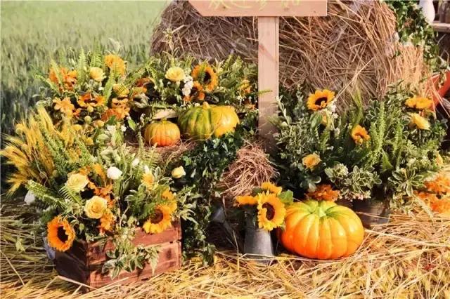 四川绵阳农村婚礼现场,成都农村如何办一场极简的婚礼