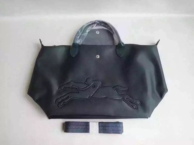 longchamp珑骧饺子包,longchamp饺子包爆款