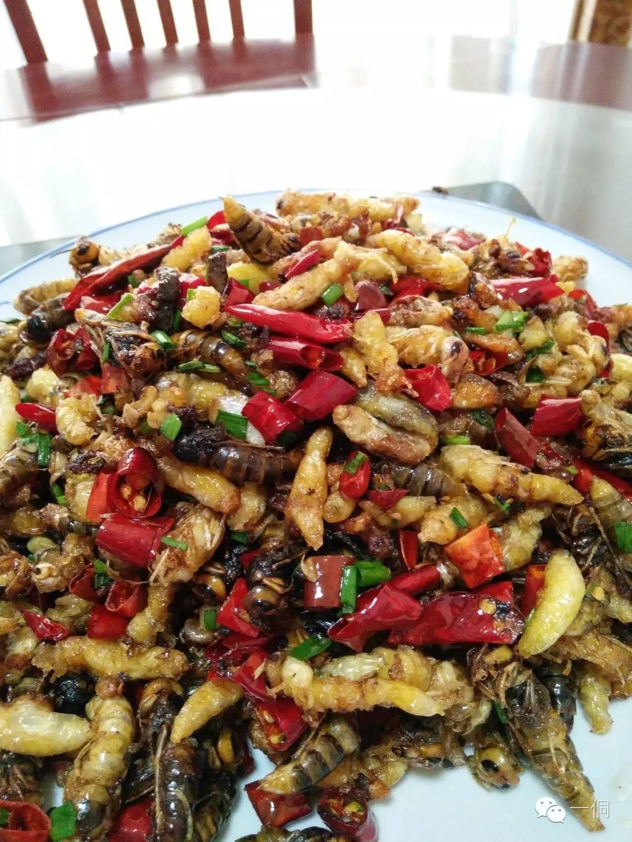 一侗给您介绍一位年轻的侗族捕猎能手——阿现大师