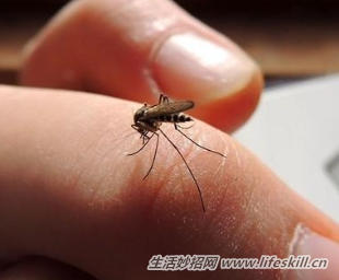 蚊虫叮咬产生的色素疤痕巧去除