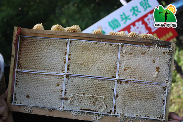 纯正原蜜是什么,商品蜜和原蜜有啥区别