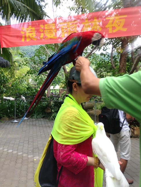 懒人版三亚旅游攻略,海南三亚懒人行租车