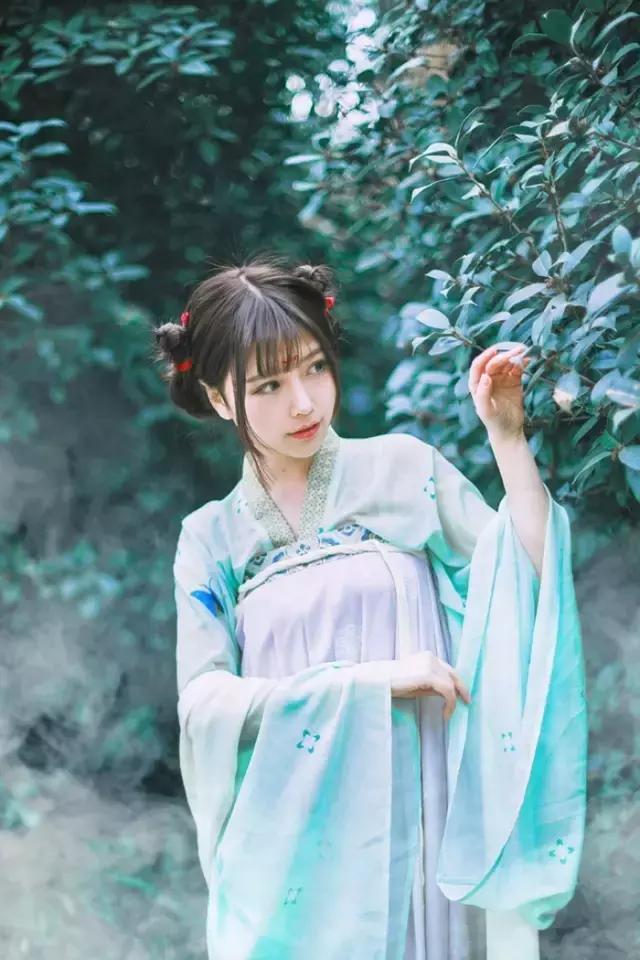 汉服之美谓之华作文,汉服之美的文章