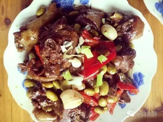 天气这么好，一起来汤山钓鱼、骑马、吃鹿肉、看鳄鱼吧！