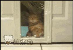 云老王！28年22个娃认他当爹