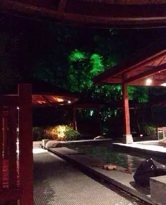 零下80度上海,上海零下9.8度