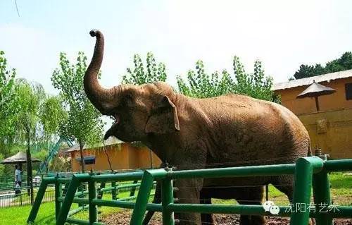 沈阳值得去的免费公园,外国人在沈阳旅游