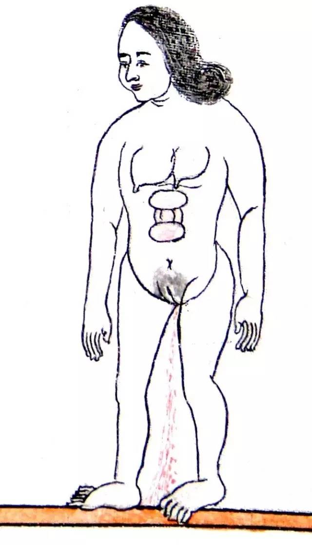 画在唐卡上的医书，令人惊叹！