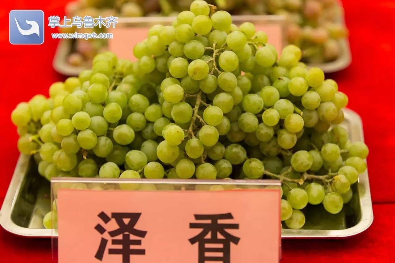 自带花香味的葡萄你吃过吗,吃葡萄不吐葡萄皮的葡萄怎么挑