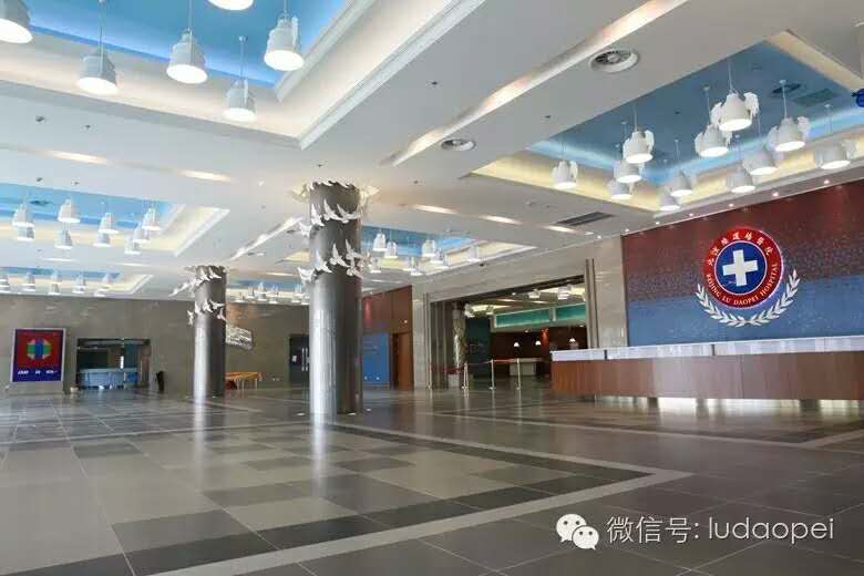 陆道培血液病医院在北京排名,北京陆道培血液病医院第三团队