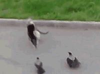 女友故意调皮,女友调皮又很乖