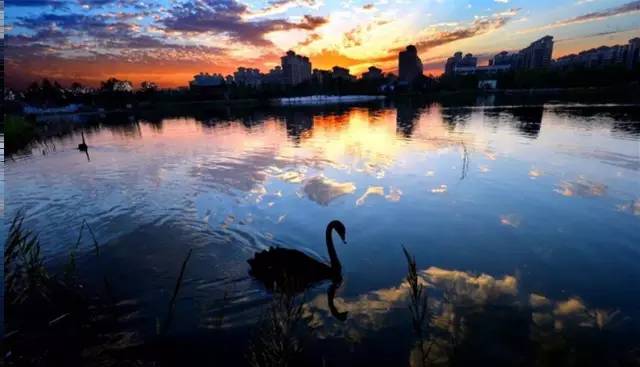 你们熟悉的湖北武汉，最擅长做这样的“涅槃重生”