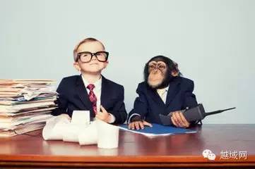 瓒婂煙澶у崠妗堜緥鍒嗘瀽,瓒婂煙缃戜笂鎬庝箞鍒嗛攢