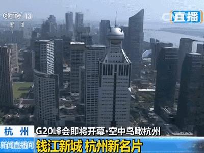 去不了杭州就来杯龙井,去不了杭州