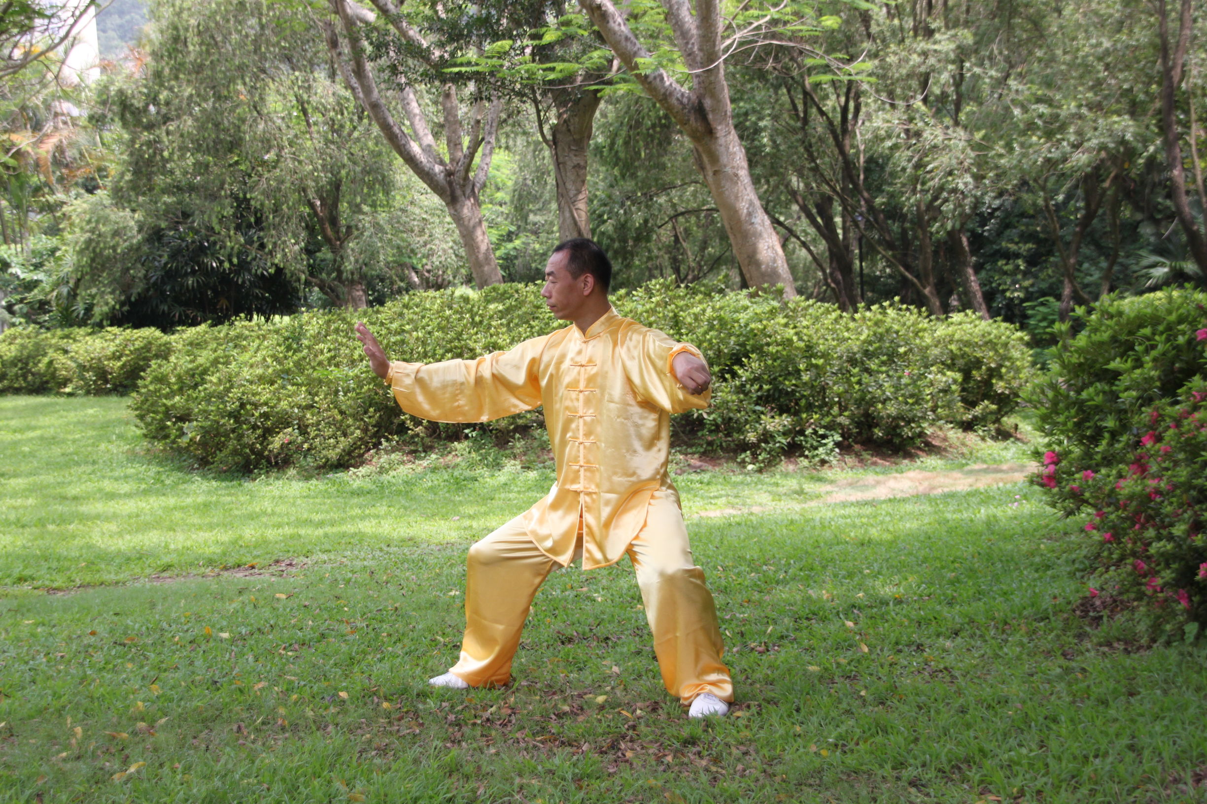 传统太极十三式教学,三丰太极十三式