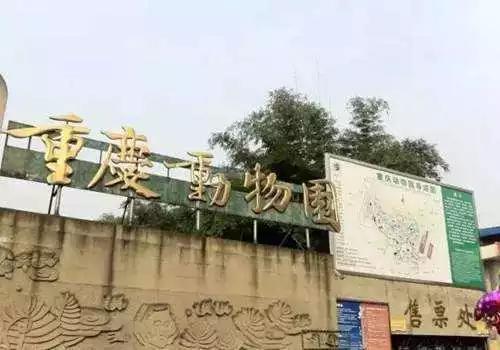 吃喝玩乐攻略免费,吃喝玩乐攻略广东