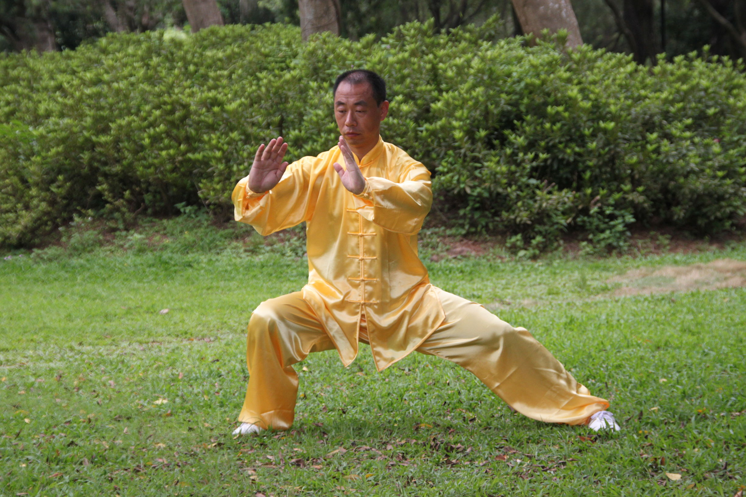 传统太极十三式教学,三丰太极十三式