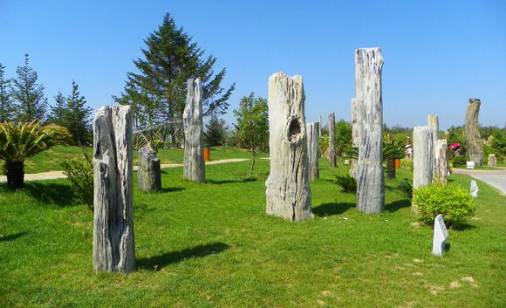 锦州哪里风景好,锦州小年美景