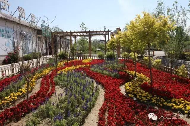 盘锦市田家街道：“我，就是全域风景”