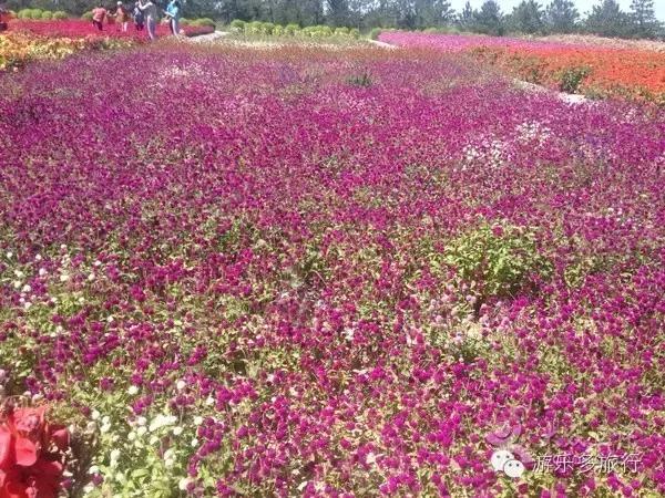 朱家尖自驾游攻略2日游国庆,普陀山朱家尖二日自驾游攻略