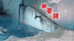 你以为他们在喂企鹅，其实他们在练腹肌