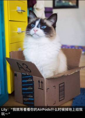 iphone7过时了吗,iphone7现在性能过时了吗