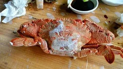 外伶仃岛岸边钓点,外伶仃岛钓鱿鱼钓点