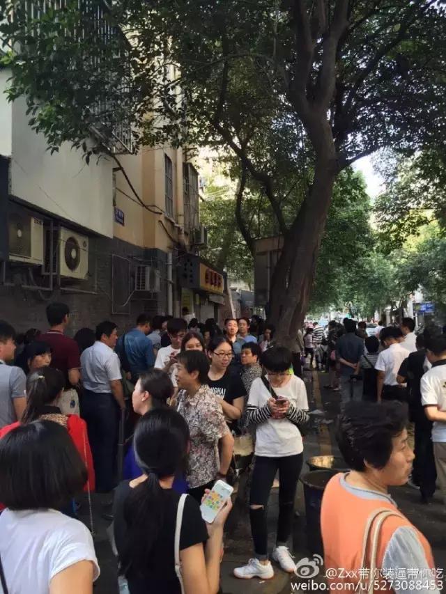 金味栗子,金味栗子几月开始卖