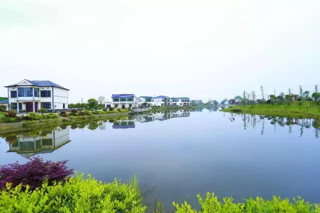 一封火爆全网的辞职信,一封辞职信的心声