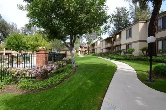 赴美生娃需要准备什么,赴美生娃回来办中国国籍