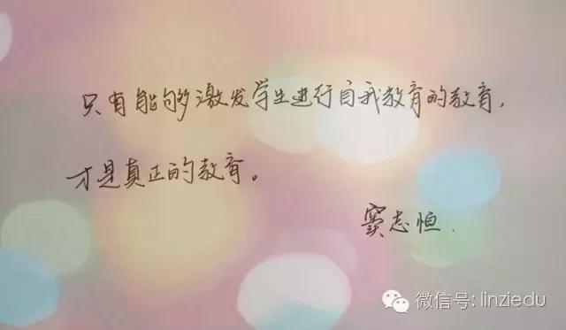 临淄中小学老师,临淄优秀教师2020