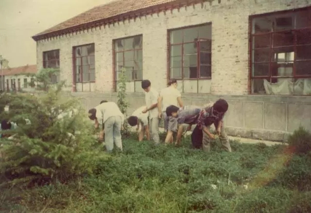 魏家桥中学校庆,魏桥中学可爱的母校