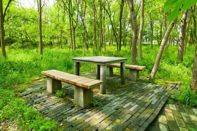 凤凰岛把公园还给你,你还欠自己一次隐居