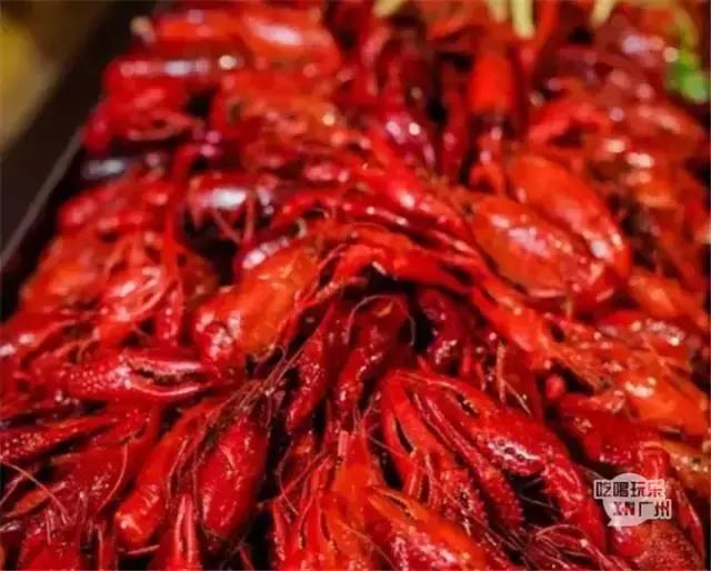 广州美食自助餐探店排行榜前十名,广州特色美食餐厅排行榜前十名