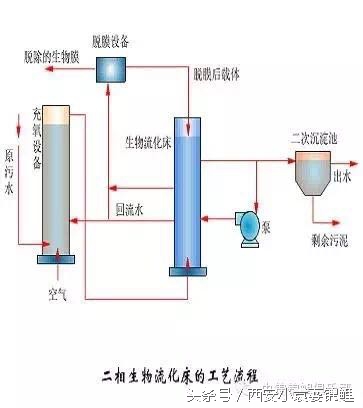 刨根问底“涌清水”！新型低能高效的生物膜法水处理装置